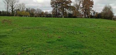 Programme terrain + maison à Campagne-lès-Boulonnais en Pas-de-Calais (62) de 160 m² à vendre au prix de 437362€ - 3