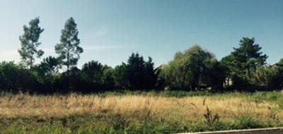 Programme terrain + maison à Claret en Hérault (34) de 100 m² à vendre au prix de 369850€ - 4