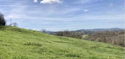 Terrain seul à Allassac en Corrèze (19) de 2000 m² à vendre au prix de 49000€ - 2