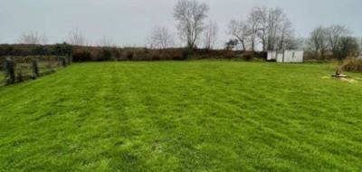 Programme terrain + maison à Tourville-les-Ifs en Seine-Maritime (76) de 105 m² à vendre au prix de 265659€ - 3