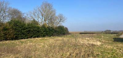 Terrain seul à Ligescourt en Somme (80) de 1600 m² à vendre au prix de 39000€ - 3