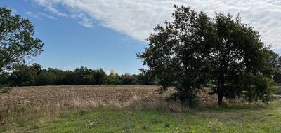 Programme terrain + maison à Cadalen en Tarn (81) de 116 m² à vendre au prix de 276000€ - 4