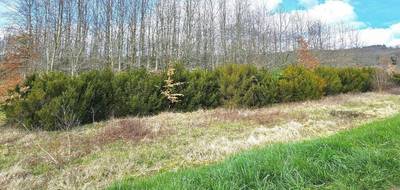 Terrain seul à Peyrillac-et-Millac en Dordogne (24) de 5675 m² à vendre au prix de 25000€ - 1