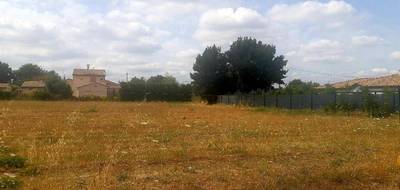 Terrain seul à Toulouse en Haute-Garonne (31) de 890 m² à vendre au prix de 390000€ - 1