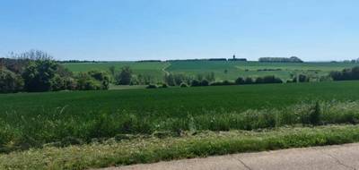Terrain seul à Pournoy-la-Grasse en Moselle (57) de 600 m² à vendre au prix de 152500€ - 3