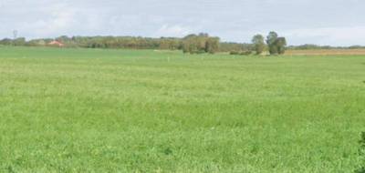 Terrain seul à Ballon en Charente-Maritime (17) de 308 m² à vendre au prix de 53900€ - 1