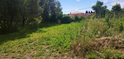 Terrain seul à Cuers en Var (83) de 449 m² à vendre au prix de 195000€ - 1
