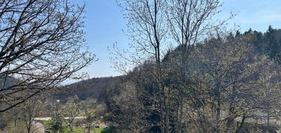 Programme terrain + maison à Bourbach-le-Haut en Haut-Rhin (68) de 100 m² à vendre au prix de 401856€ - 3