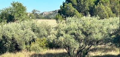 Terrain seul à Roquemaure en Gard (30) de 400 m² à vendre au prix de 129000€ - 1