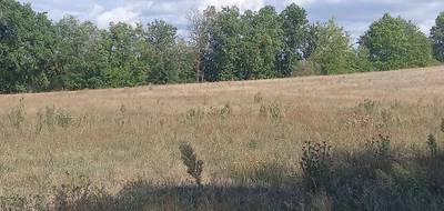Programme terrain + maison à Puygouzon en Tarn (81) de 88 m² à vendre au prix de 219000€ - 4