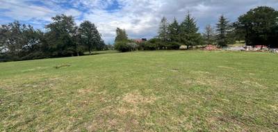 Terrain seul à Reilhac en Cantal (15) de 3138 m² à vendre au prix de 75000€ - 2