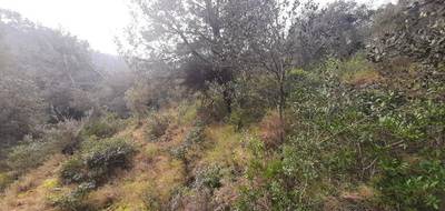 Terrain seul à Vidauban en Var (83) de 2074 m² à vendre au prix de 95000€ - 3