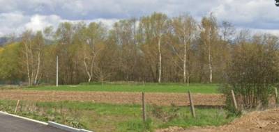 Programme terrain + maison à Dannemarie en Haut-Rhin (68) de 70 m² à vendre au prix de 214900€ - 4