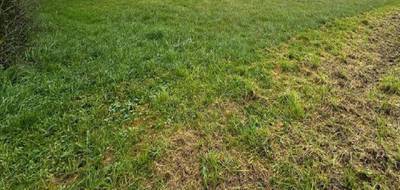 Terrain seul à Allouis en Cher (18) de 1800 m² à vendre au prix de 38100€ - 1