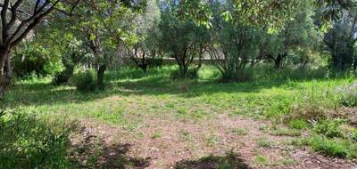 Terrain seul à Cuers en Var (83) de 449 m² à vendre au prix de 195000€ - 3