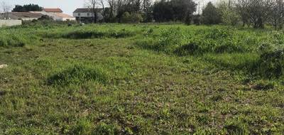 Programme terrain + maison à Chambon en Charente-Maritime (17) de 80 m² à vendre au prix de 197900€ - 4