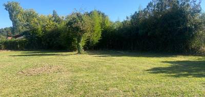 Terrain seul à Lesparre-Médoc en Gironde (33) de 1283 m² à vendre au prix de 85000€ - 2