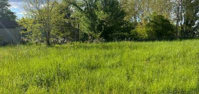 Terrain seul à Casteljaloux en Lot-et-Garonne (47) de 1000 m² à vendre au prix de 45000€ - 1