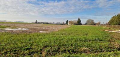 Programme terrain + maison à Bréauté en Seine-Maritime (76) de 105 m² à vendre au prix de 239000€ - 3