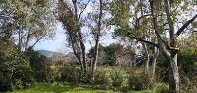 Terrain seul à La Cadière-d'Azur en Var (83) de 2000 m² à vendre au prix de 595000€ - 3