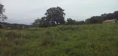 Terrain seul à Urcuit en Pyrénées-Atlantiques (64) de 600 m² à vendre au prix de 190000€ - 1