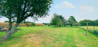 Terrain seul à Saint-Martin-de-Hinx en Landes (40) de 510 m² à vendre au prix de 125000€ - 1