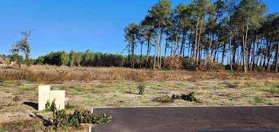 Terrain seul à Pissos en Landes (40) de 649 m² à vendre au prix de 97000€ - 1