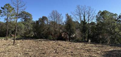 Programme terrain + maison à Bagnols-en-Forêt en Var (83) de 90 m² à vendre au prix de 370000€ - 2