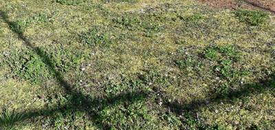 Terrain seul à Farschviller en Moselle (57) de 1340 m² à vendre au prix de 113900€ - 2