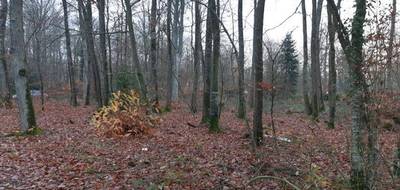 Programme terrain + maison à Conches-en-Ouche en Eure (27) de 120 m² à vendre au prix de 280900€ - 4
