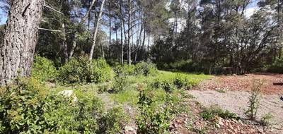 Terrain seul à Trans-en-Provence en Var (83) de 916 m² à vendre au prix de 193000€ - 1
