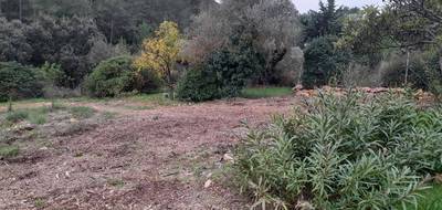 Terrain seul à Cuers en Var (83) de 920 m² à vendre au prix de 250000€ - 1