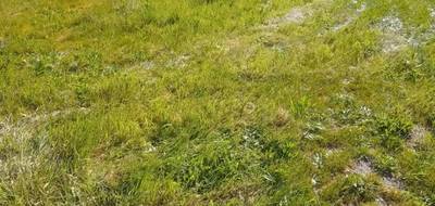 Terrain seul à Andernos-les-Bains en Gironde (33) de 465 m² à vendre au prix de 265000€ - 1