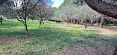 Terrain seul à Lézignan-la-Cèbe en Hérault (34) de 413 m² à vendre au prix de 123500€ - 1