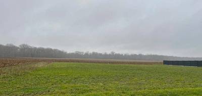 Programme terrain + maison à Levroux en Indre (36) de 70 m² à vendre au prix de 177520€ - 3