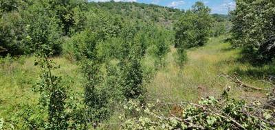 Programme terrain + maison à Saint-Pierre-Lafeuille en Lot (46) de 100 m² à vendre au prix de 212000€ - 3