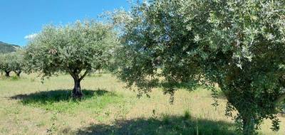 Terrain seul à Aups en Var (83) de 3000 m² à vendre au prix de 170000€ - 3