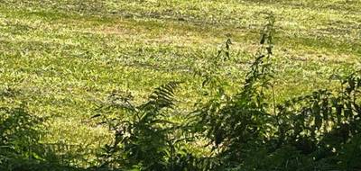 Terrain seul à Mazeray en Charente-Maritime (17) de 1540 m² à vendre au prix de 39400€ - 1