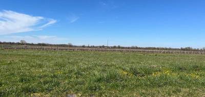 Programme terrain + maison à Chouppes en Vienne (86) de 89 m² à vendre au prix de 151795€ - 4
