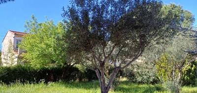 Terrain seul à La Seyne-sur-Mer en Var (83) de 300 m² à vendre au prix de 265000€ - 2