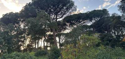 Programme terrain + maison à Sainte-Maxime en Var (83) de 140 m² à vendre au prix de 850000€ - 4