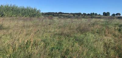 Programme terrain + maison à Villeneuve-lès-Maguelone en Hérault (34) de 140 m² à vendre au prix de 795600€ - 3