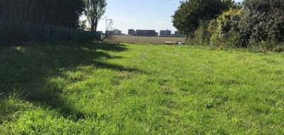 Programme terrain + maison à Annet-sur-Marne en Seine-et-Marne (77) de 117 m² à vendre au prix de 469000€ - 3