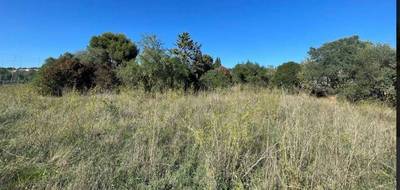 Terrain seul à Beaucaire en Gard (30) de 300 m² à vendre au prix de 97000€ - 2