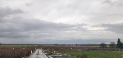 Terrain seul à Dietwiller en Haut-Rhin (68) de 500 m² à vendre au prix de 119000€ - 1