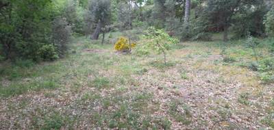 Terrain seul à La Roque-d'Anthéron en Bouches-du-Rhône (13) de 789 m² à vendre au prix de 195000€ - 3