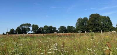 Terrain seul à Vismes en Somme (80) de 1000 m² à vendre au prix de 26000€ - 2