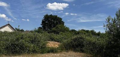Programme terrain + maison à Port-sur-Saône en Haute-Saône (70) de 73 m² à vendre au prix de 317925€ - 4