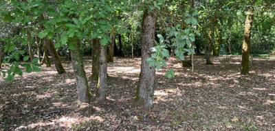 Terrain seul à Cognac en Charente (16) de 2000 m² à vendre au prix de 130435€ - 3