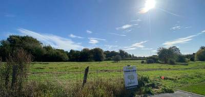 Programme terrain + maison à Tourmignies en Nord (59) de 100 m² à vendre au prix de 336000€ - 3